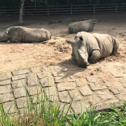 Fahrt in den Dortmunder Zoo 2018